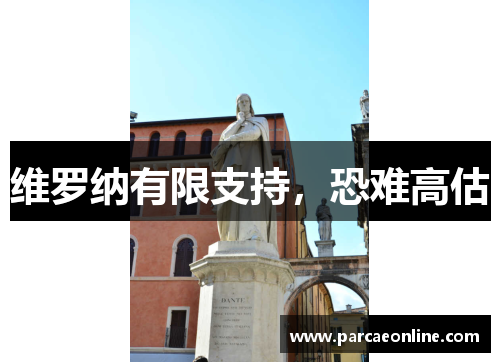 维罗纳有限支持，恐难高估